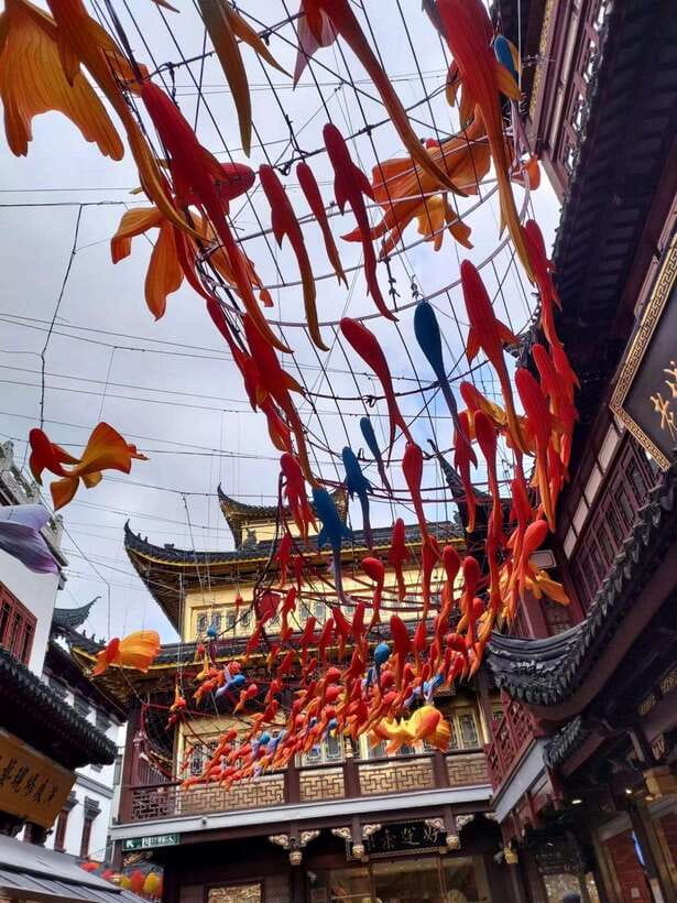 3-Hour Shanghai Street Food Tasting & Old Town Private Tour - Pickup boundaries and timing you should know