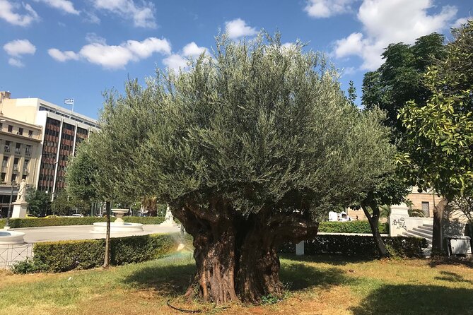 Athens by E-Bike: Monuments, Food & Transfers (Cruise Tour) - Group size, guides, and the pace of the day