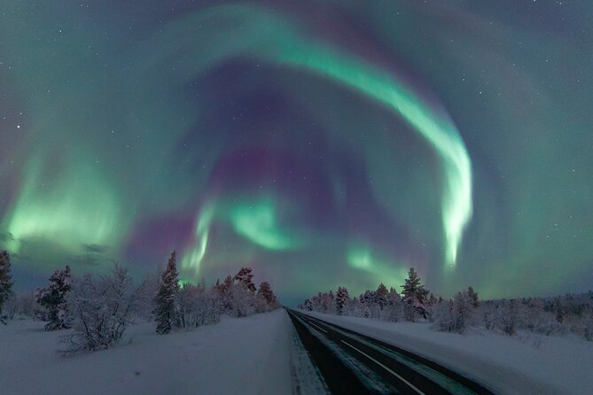 Aurora Borealis Tour in Kiruna - Lapland with Stejk Street Food - Key points to know before booking