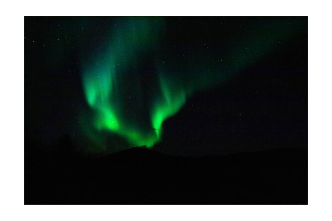 Aurora Borealis Tour in Kiruna - Lapland with Stejk Street Food - Who will enjoy this Kiruna evening