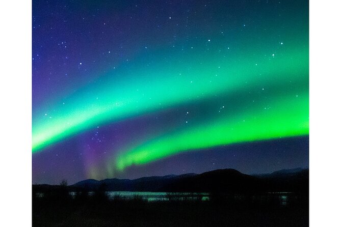Aurora Borealis Tour in Kiruna - Lapland with Stejk Street Food - My call on the Stejk aurora tour