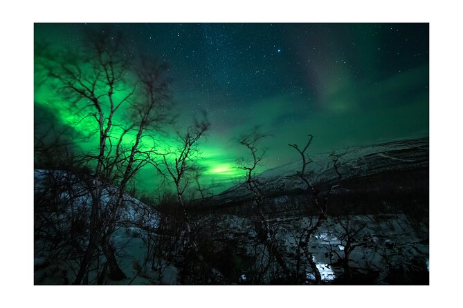 Aurora Borealis Tour in Kiruna - Lapland with Stejk Street Food - The real value is in persistence
