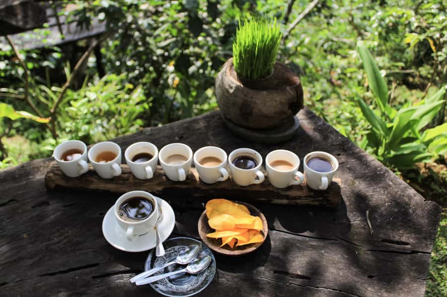 Bali: Authentic Culinary Street Food Experience Tour - Key points to know before booking