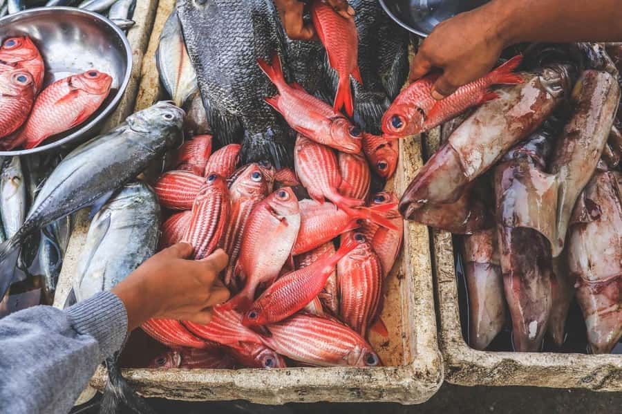Bali: Jimbaran Seafood Market Tour with Sunset Dinner - From market stall to coconut-coal grill