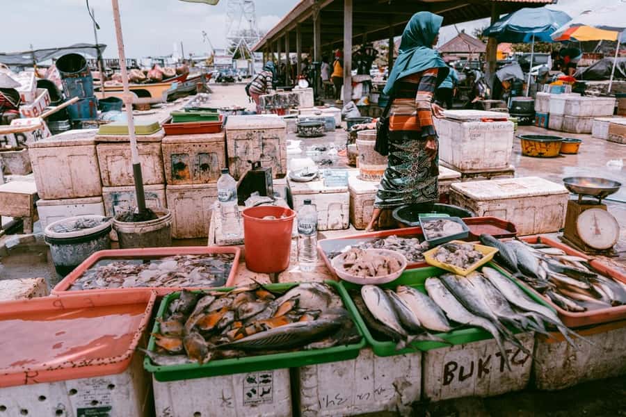 Bali: Jimbaran Seafood Market Tour with Sunset Dinner - Is $14 good value?