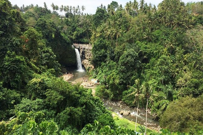 Bali Night Market Experience and Ubud Highlights tour - Private transport and the pace of the day