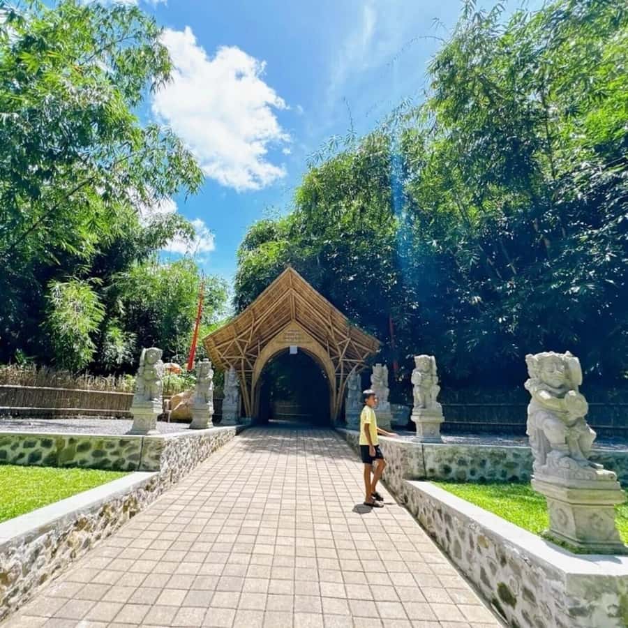 Bali: Penglipuran Village, Waterfall, and Night Market Tour - Walking beneath the bamboo at Hutan Bambu