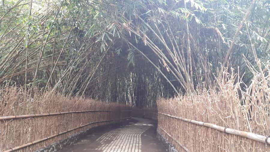 Bali: Penglipuran Village, Waterfall, and Night Market Tour - Eating your way through Pasar Gianyar