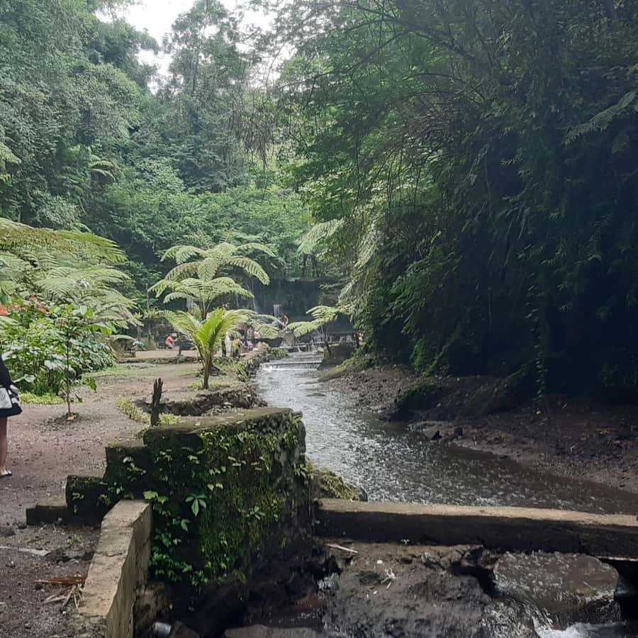 Bali: Penglipuran Village, Waterfall, and Night Market Tour - What $36 covers, and where you may spend more