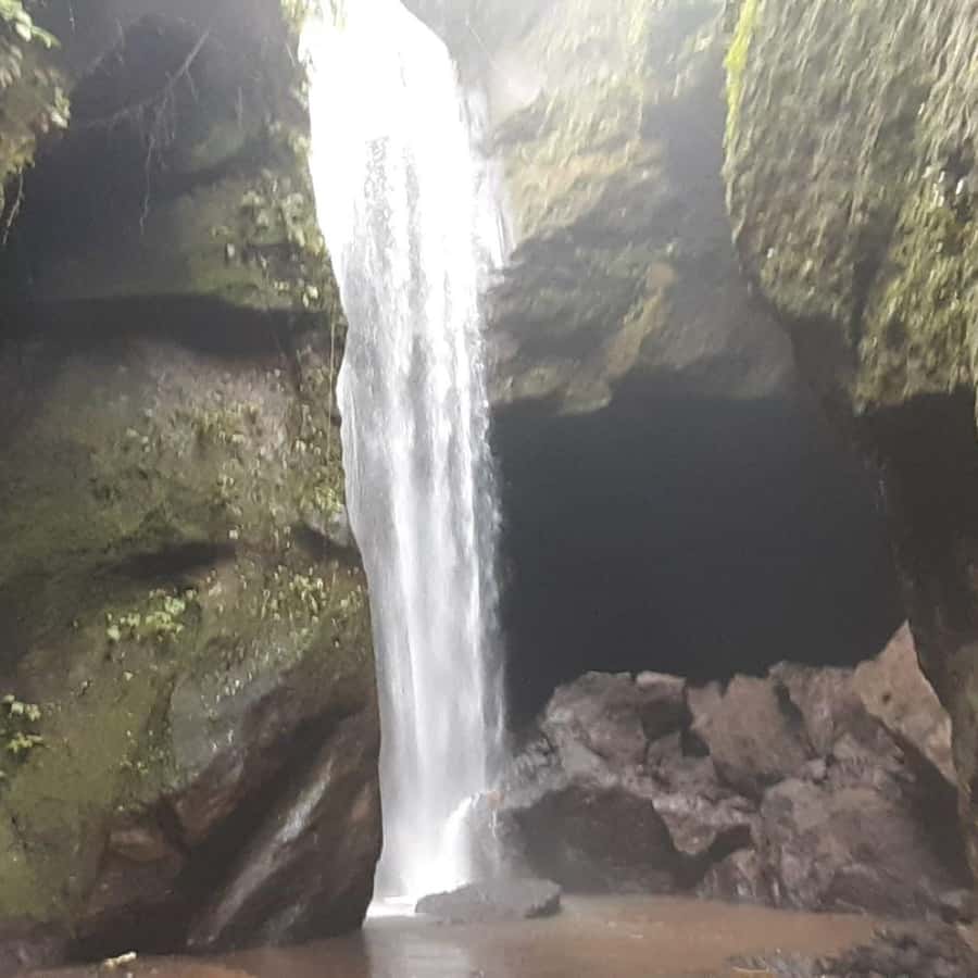 Bali: Penglipuran Village, Waterfall, and Night Market Tour - Should you book the Penglipuran and Goa Raja tour?