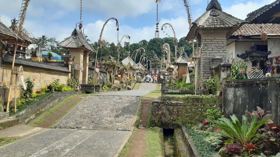 Bali: Penglipuran Village, Waterfall, and Night Market Tour - Goa Raja Waterfall and the natural pool
