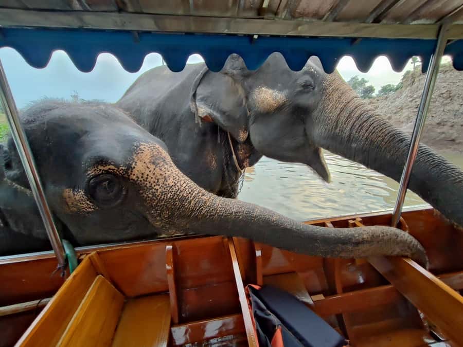 Bangkok: Private Trip to Ayutthaya Temples & Night Market - Key points at a glance
