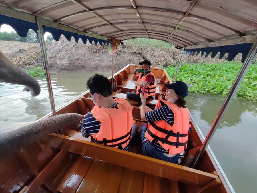 Bangkok: Private Trip to Ayutthaya Temples & Night Market - Why the Buddha head at Wat Mahathat comes first
