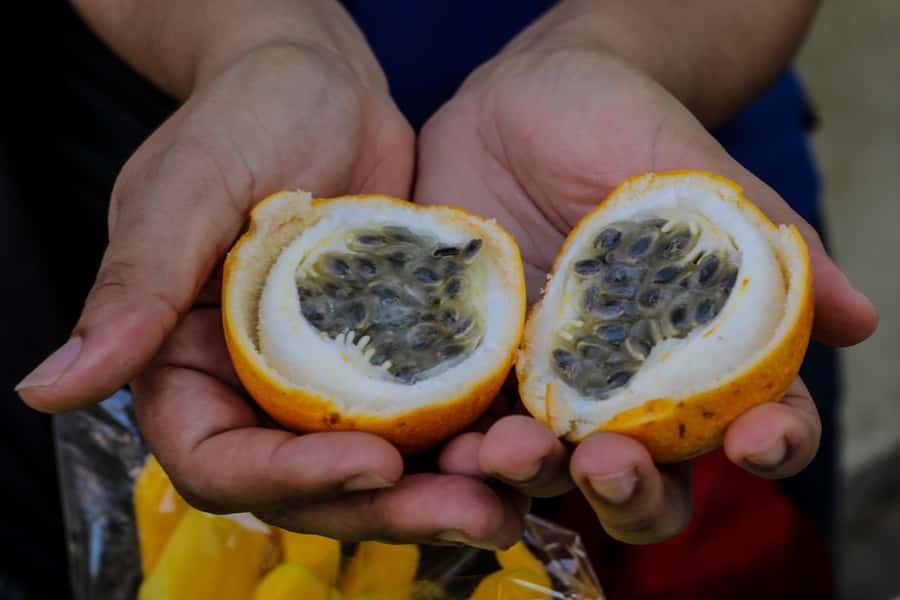 Cartagena: Street Food Walking Tour - Guide style and group size