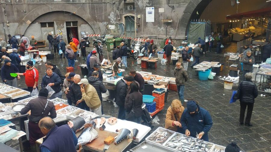 Catania Street Food Tour: Fish Market & City Centre - How the guides shape the experience