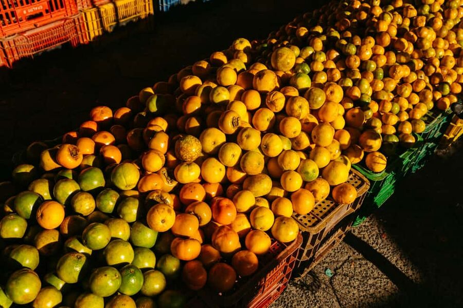 Cebu: Street Food Tour with Local Guide - Starting with a local guide and private transport