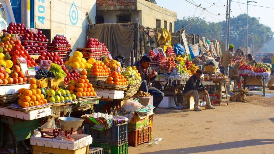 Delhi: Old Delhi City Tour with Tuk Tuk Ride & Street Food - Who should book this Old Delhi tour?