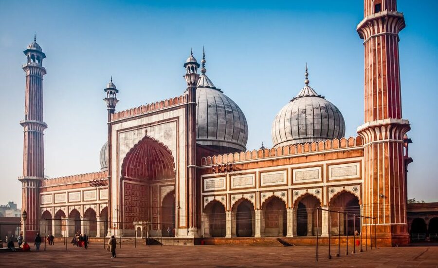 Delhi: Old Delhi City Tour with Tuk Tuk Ride & Street Food - Guides, drivers, and the private setup