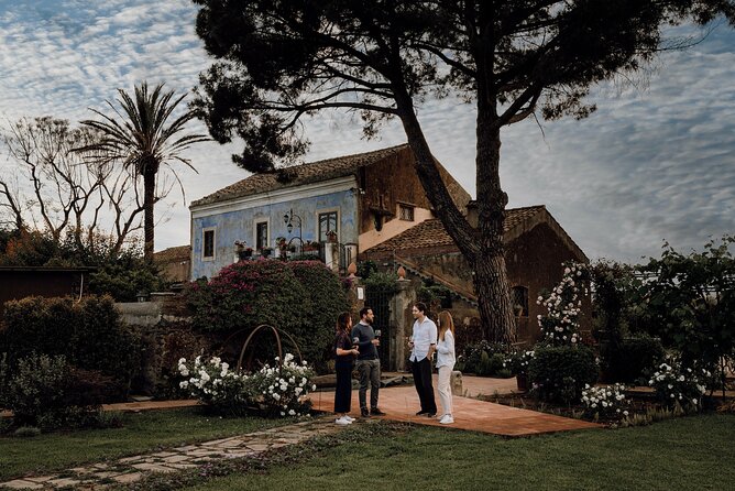 Etna Urban Winery - Tasting with Street Food Platter and vineyard - Location, timing, and what to wear