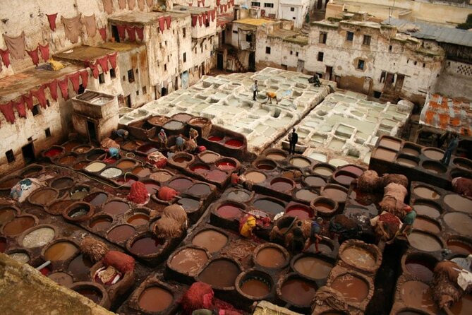 Fez Street Food Tour - Key points to know before you book