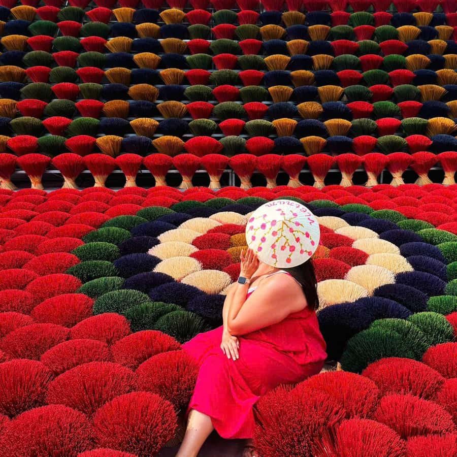 Hanoi: Incense Village, Conical Hat, & Street Food Tour - What you eat on the full-day street food walk