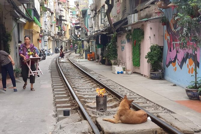 Hanoi Michelin Star Street Food Walking Tour & Train-Street - Eel noodles at Miến Lươn Đông Thịnh
