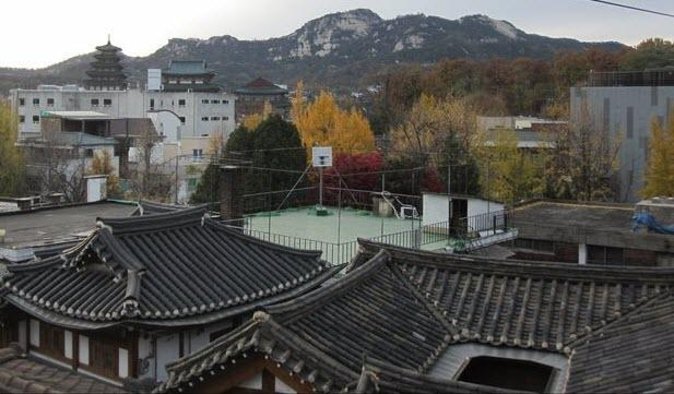 Hidden Street Food food tour in Seoul - What this Seoul food tour is really offering