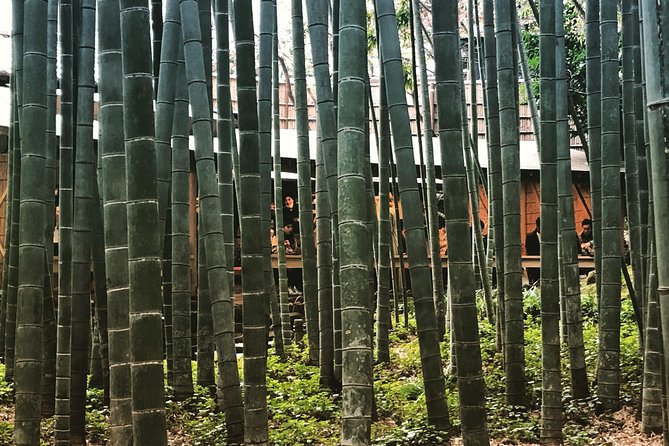 Historic Kamakura: Temples, Shrines and Street Food Private Walking Tour - Tea and bamboo at Hokoku-ji