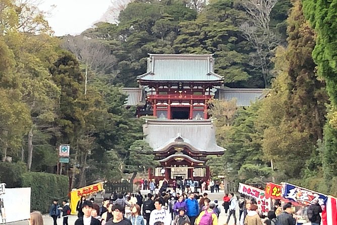 Historic Kamakura: Temples, Shrines and Street Food Private Walking Tour - Who will get the most from this private walk