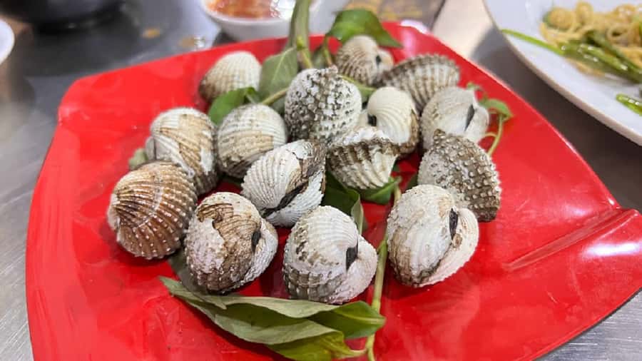 Ho Chi Minh: Saigon Street Food Walking Tour - What the feedback suggests about the guide