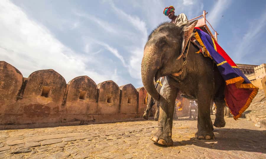 Jaipur: Private Full Day City Tour With Street Food - Key points at a glance