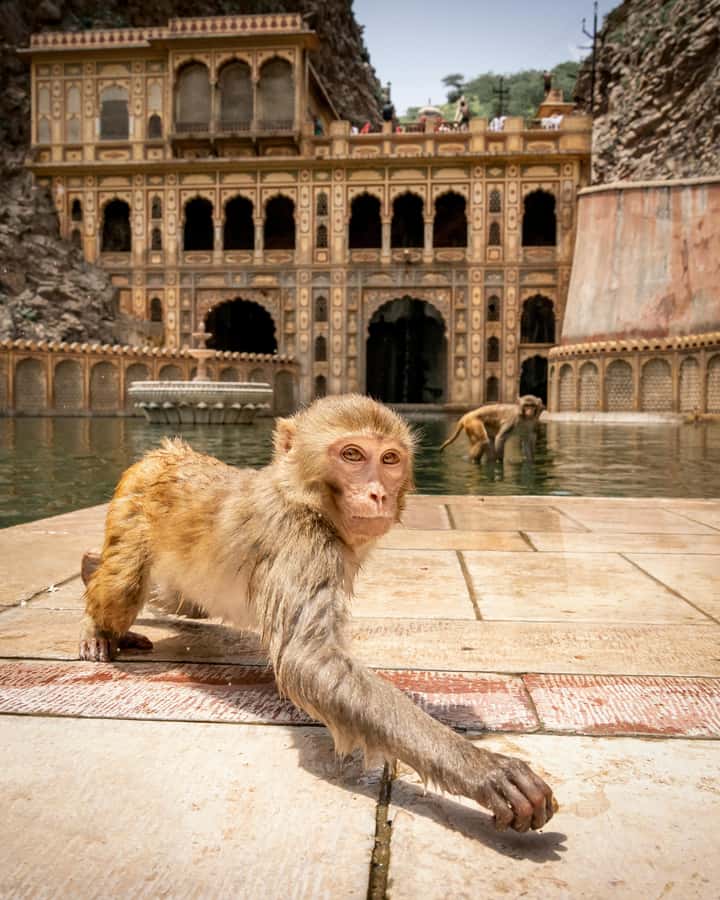 Jaipur: Private Full Day City Tour With Street Food - Why a private tuk tuk works well in Jaipur