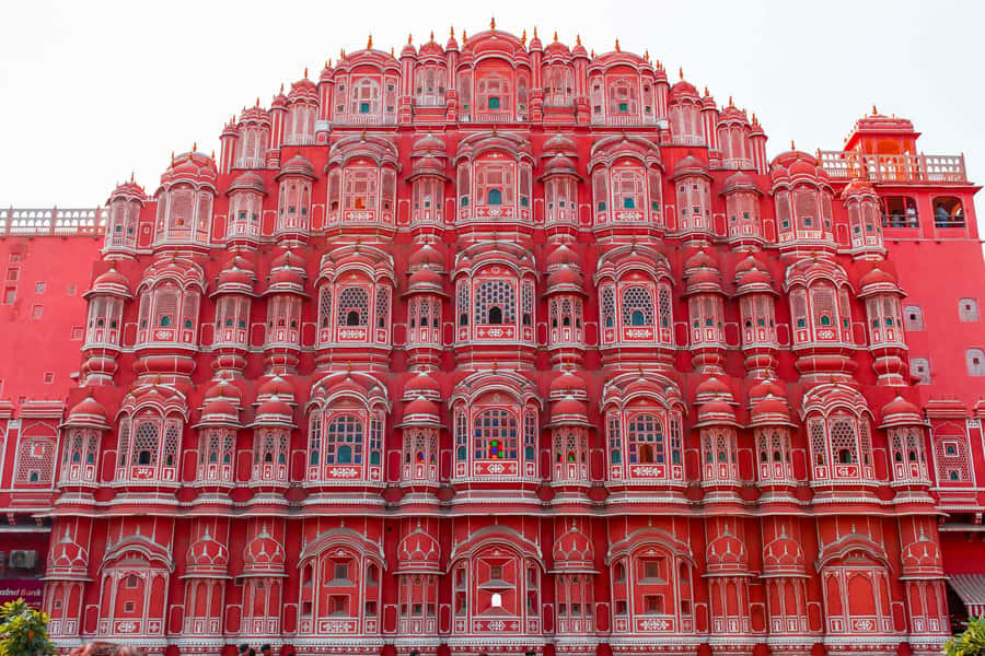 Jaipur: Private Full Day City Tour With Street Food - Galta Ji, the Monkey Temple