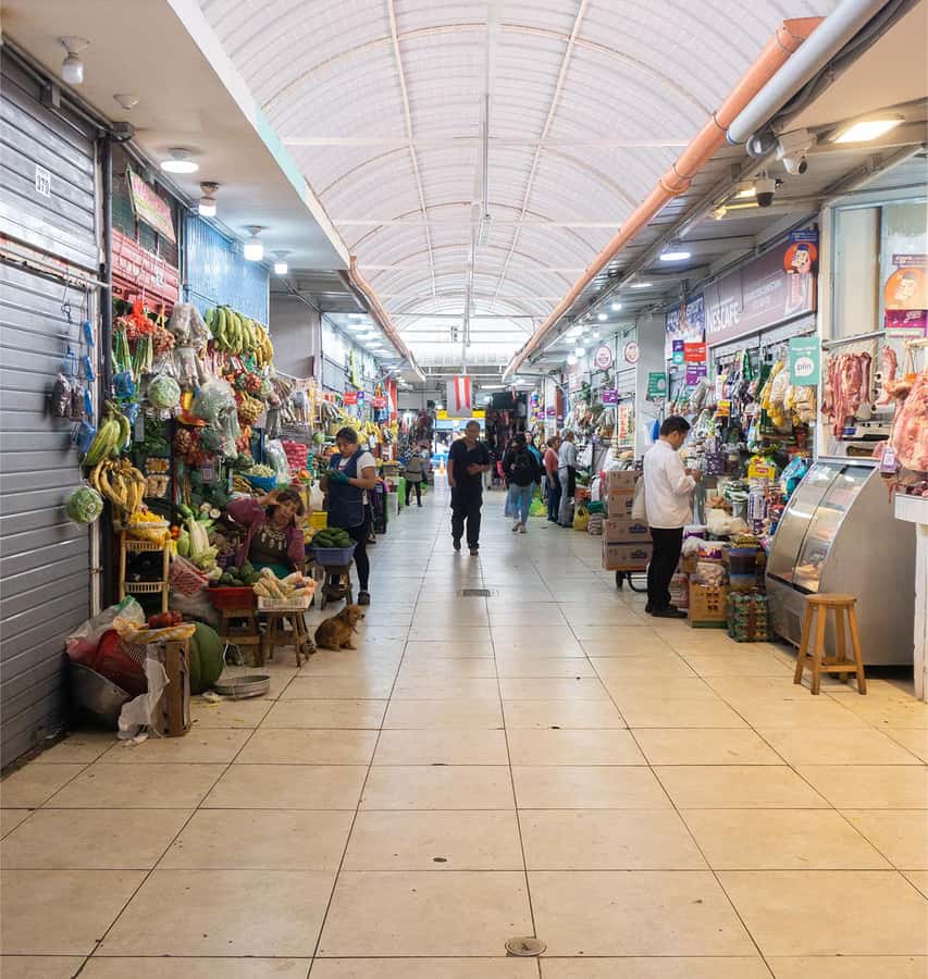 Lima: Street Food Tasting Tour with Pisco Sour Class - What the $99 price buys you