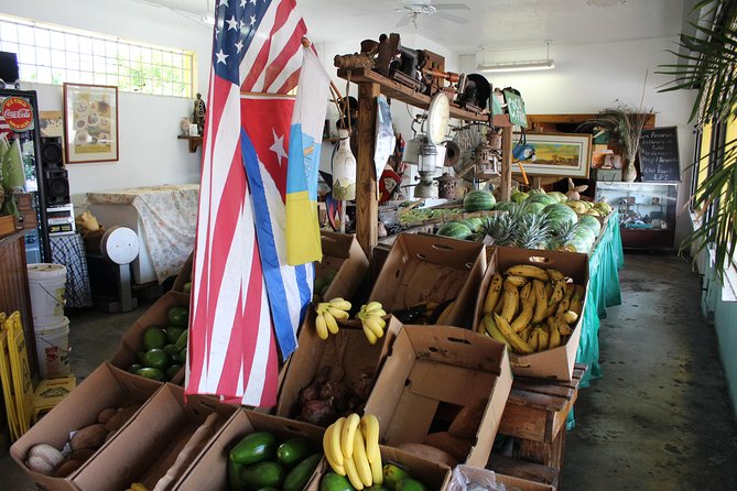 Little Havana Street Food Tour with Enthusiastic Guide - Casa del Tabaco and the cigar rollers