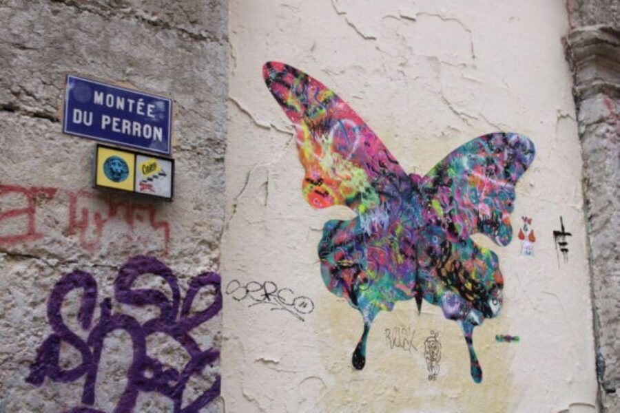 Lyon: Street Art & Street Food Tour - The two main works and the smaller finds