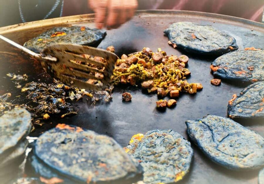 Mexico City: Vegan and Vegetarian Street Food Adventure - Tacos, quesadillas, and the Mexican food vocabulary