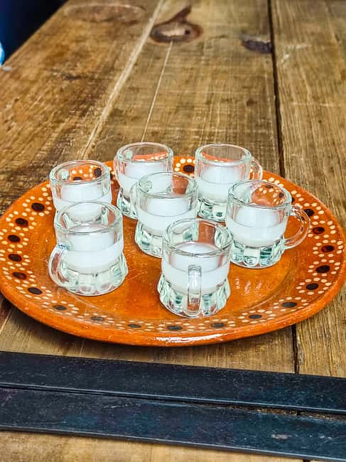 🟢Mexico Off The Beaten Track/ Street Food Bike Tour 🟢 - Pulque, the drink with pre-Hispanic roots