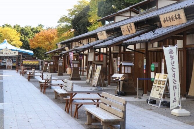 Nagoya Castle and Local Flavor Samurai Tales and Street Food Walk - What the $52.12 price buys you