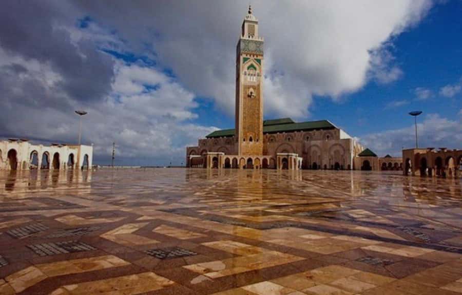 Night Tour of Casablanca with Street Food Tasting - What the food tasting may be like