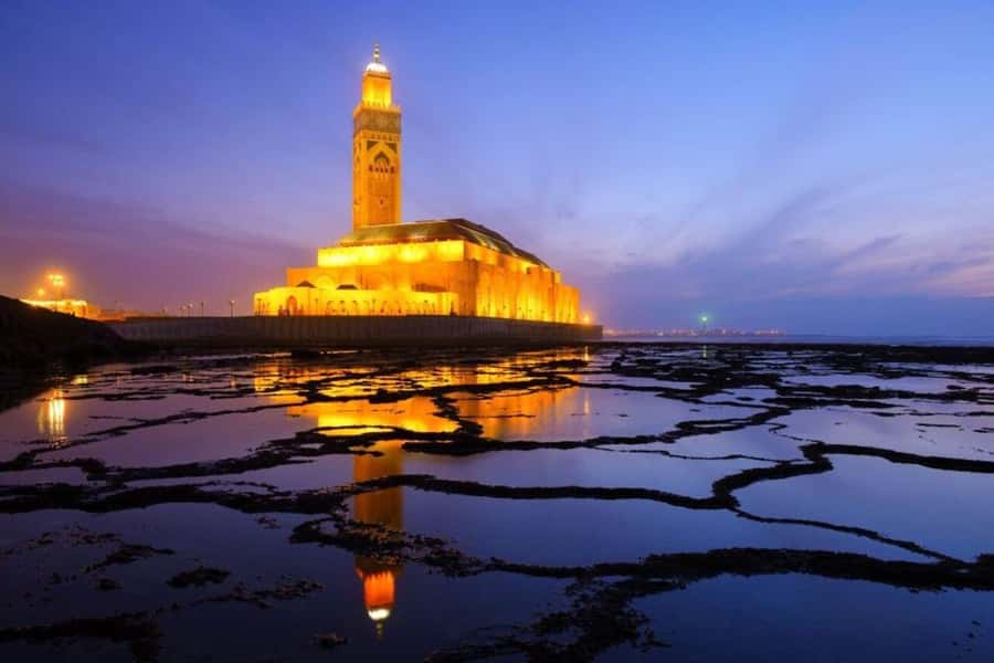 Night Tour of Casablanca with Street Food Tasting - Comfort, timing, and the price