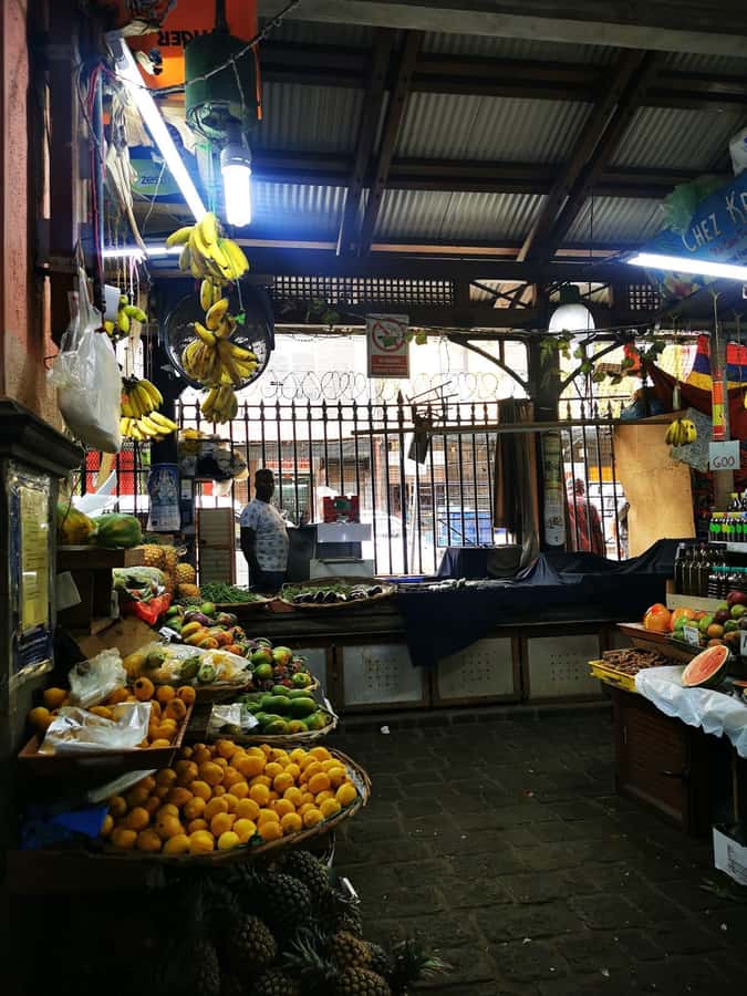 North Tour Of Mauritius With Street Food tasting - The botanical garden and its extra ticket
