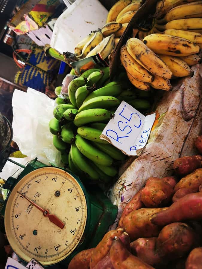 North Tour Of Mauritius With Street Food tasting - Ashley’s guiding style