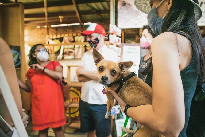 Oaxaca Street Food Tour. Signature Markets Tour - Why this tour is a smart first taste of Oaxaca