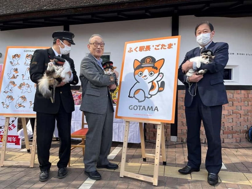 Osaka: Wakayama Cat Train, Seafood market, Hot Springs Tour - Kishi Station and the cat who saved a railway