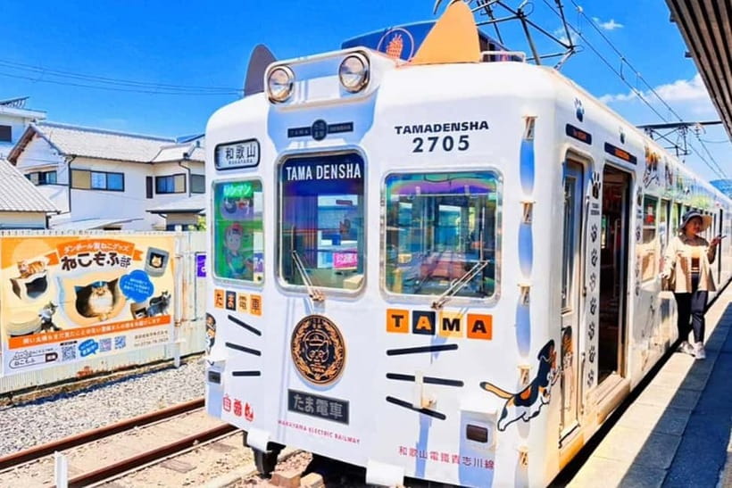 Osaka: Wakayama Cat Train, Seafood market, Hot Springs Tour - ToreTore Market turns lunch into part of the tour