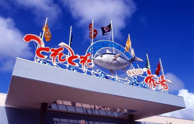 Osaka: Wakayama Cat Train, Seafood market, Hot Springs Tour - The long coach ride is the price of convenience