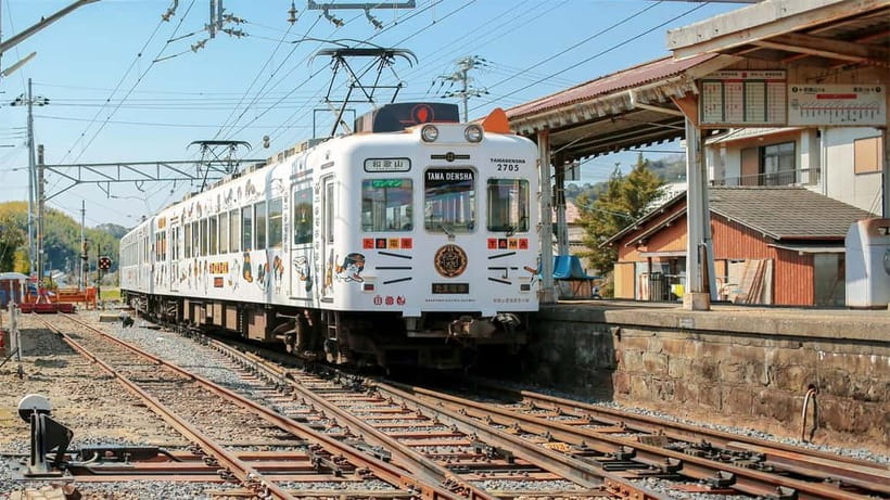 Osaka: Wakayama Cat Train, Seafood market, Hot Springs Tour - The cat train is cute, but keep your expectations sensible