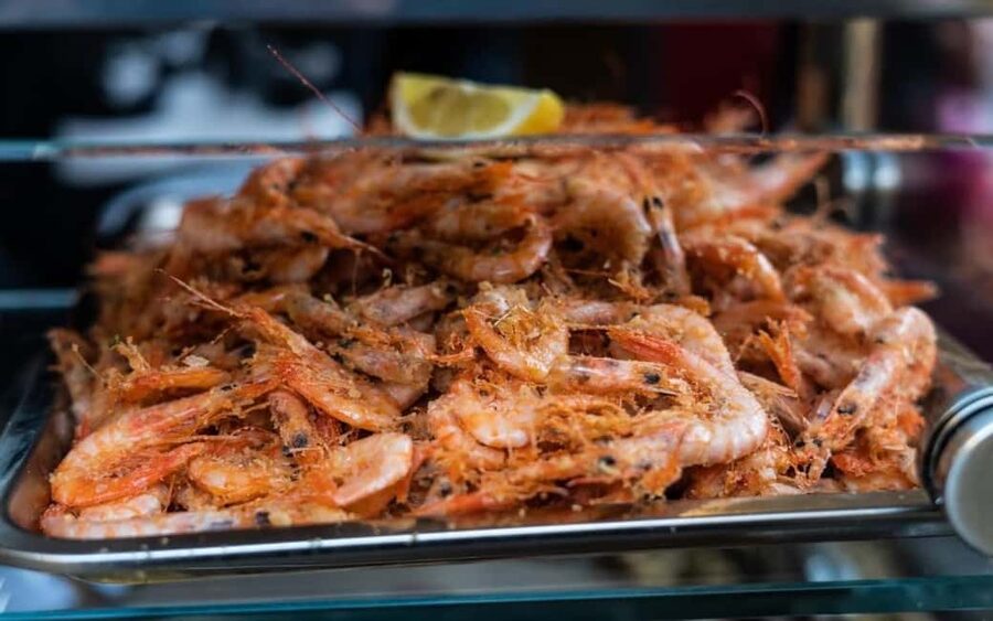 Palermo: street food walking tour - Starting beneath Teatro Massimo