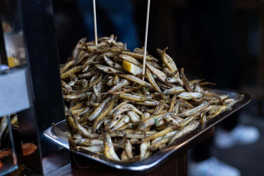 Palermo: street food walking tour - Practical details before you book